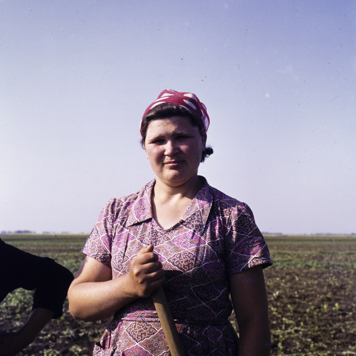 minerva_dn_1973_642_com_olari_jud_arad_001