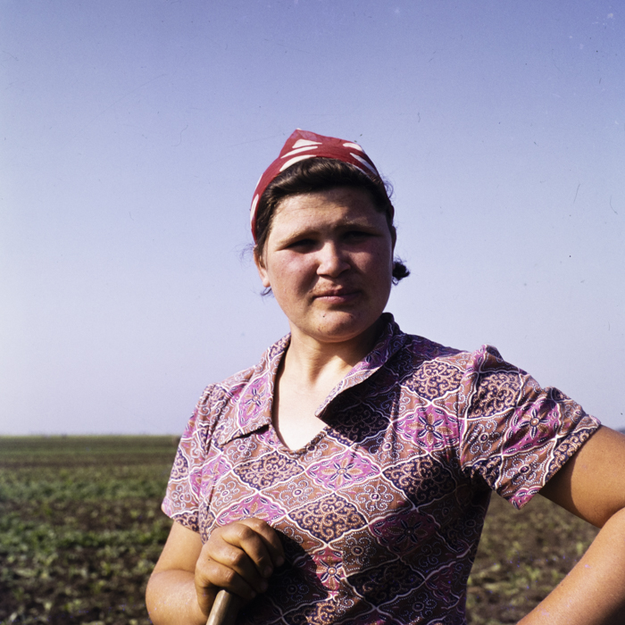 minerva_dn_1973_642_com_olari_jud_arad_003