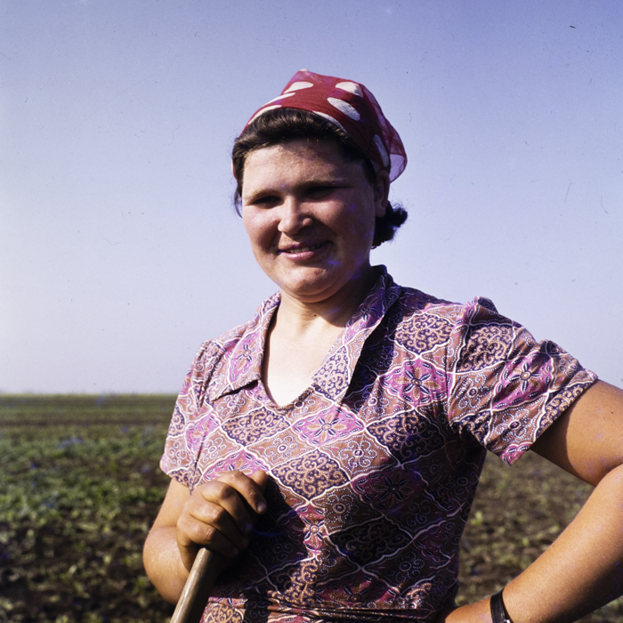 minerva_dn_1973_642_com_olari_jud_arad_007