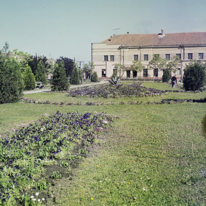 minerva_dn_1973_644_aspecte_timisoara_kinga_004