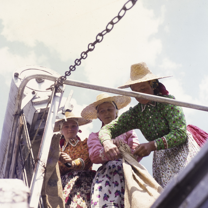 minerva_dn_1973_650_colectiviste_comuna_mera_la_seceris_constructii_noi_zalau_012