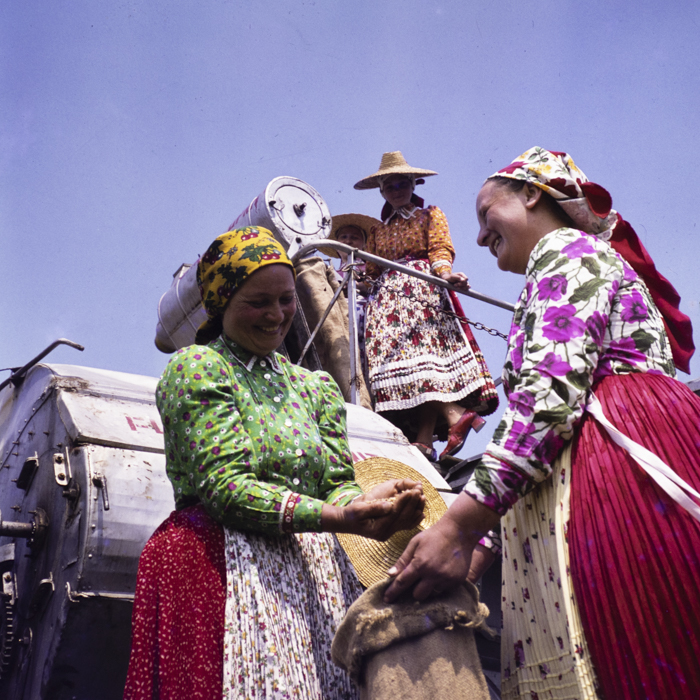 minerva_dn_1973_650_colectiviste_comuna_mera_la_seceris_constructii_noi_zalau_017