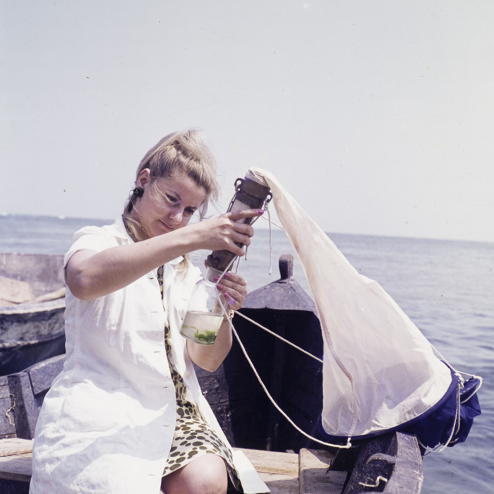 minerva_dn_1973_651_agigea_institutul_de_dercetari_marine_003