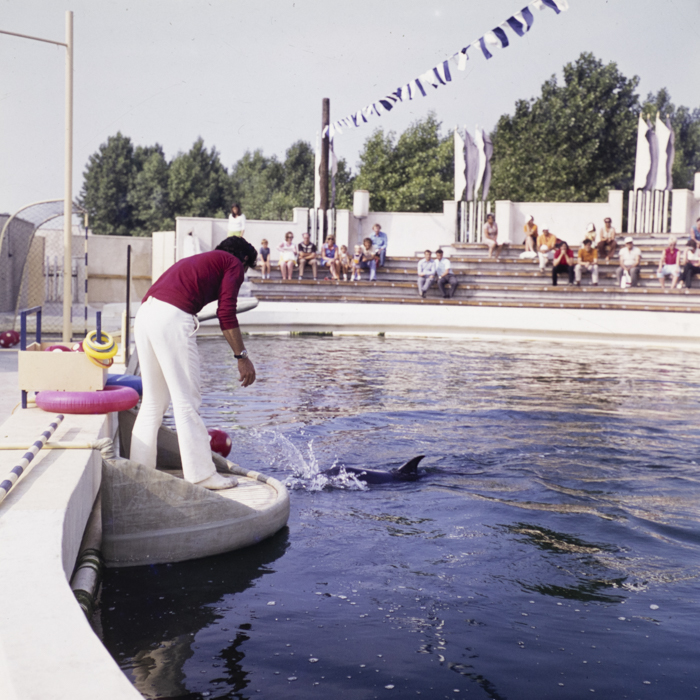 minerva_dn_1973_652_aspecte_constanta_mamaia_delfinariu_002
