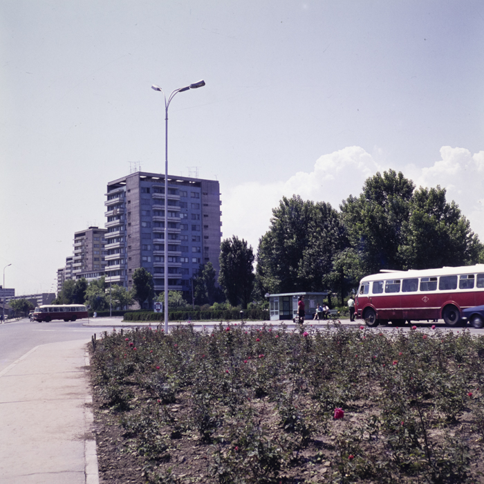 minerva_dn_1973_652_aspecte_constanta_mamaia_delfinariu_005