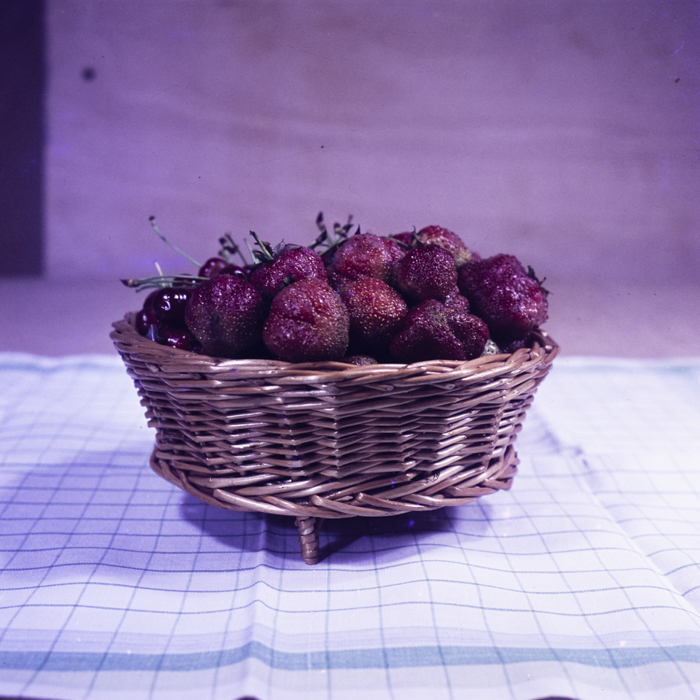 minerva_dn_1973_659_fructe_flori_zarzavaturi_0001