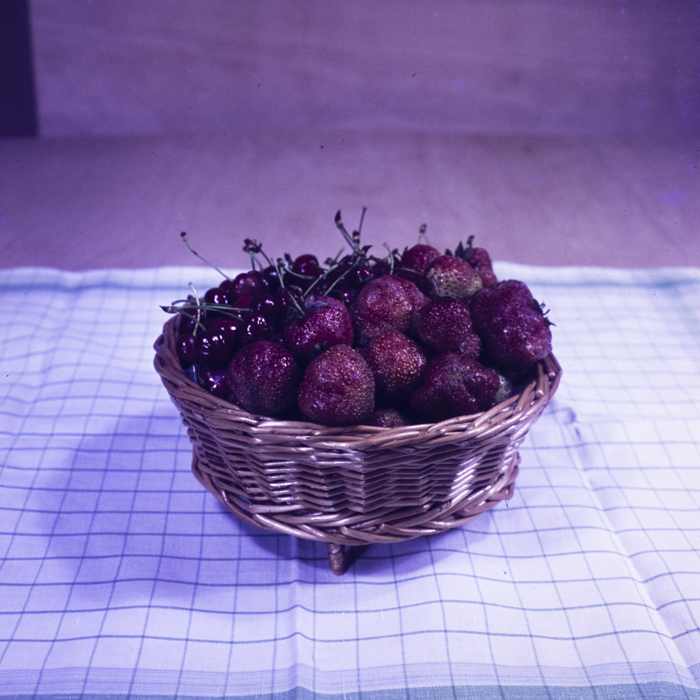 minerva_dn_1973_659_fructe_flori_zarzavaturi_0002