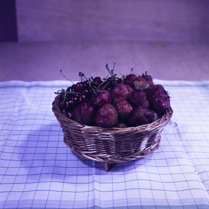 minerva_dn_1973_659_fructe_flori_zarzavaturi_0003