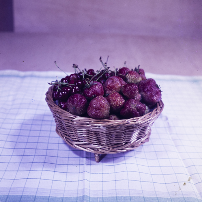 minerva_dn_1973_659_fructe_flori_zarzavaturi_0004