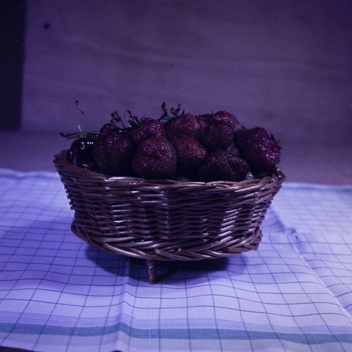 minerva_dn_1973_659_fructe_flori_zarzavaturi_0005