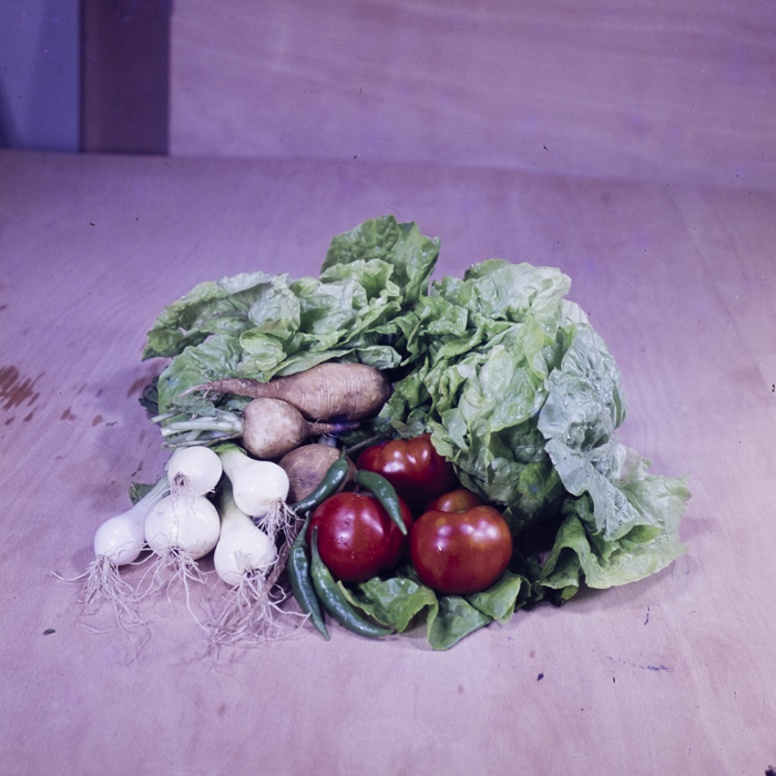 minerva_dn_1973_659_fructe_flori_zarzavaturi_0007