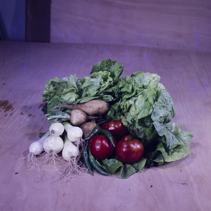 minerva_dn_1973_659_fructe_flori_zarzavaturi_0008