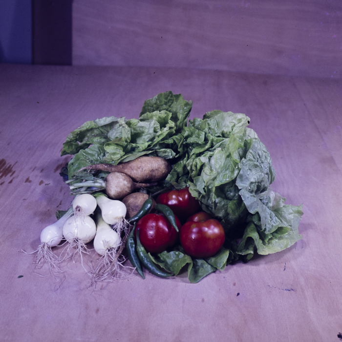 minerva_dn_1973_659_fructe_flori_zarzavaturi_0009