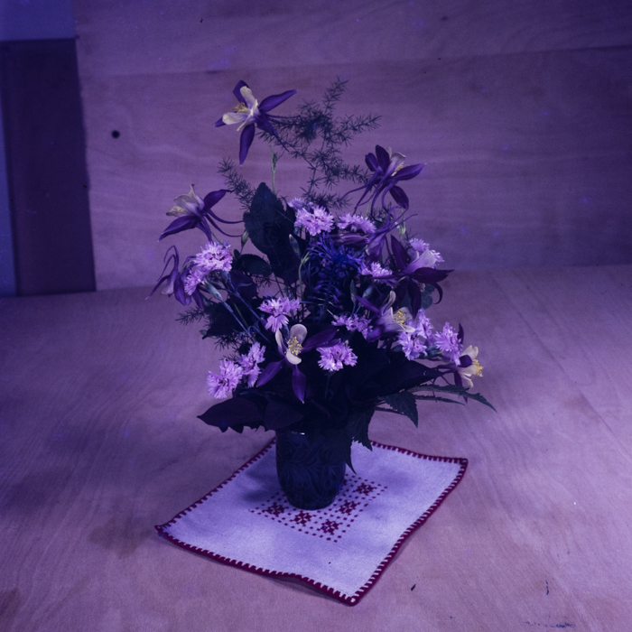 minerva_dn_1973_659_fructe_flori_zarzavaturi_0010