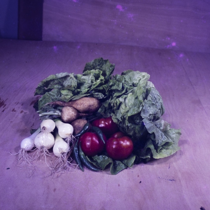 minerva_dn_1973_659_fructe_flori_zarzavaturi_0011