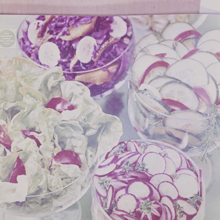 minerva_dn_1973_660_reproduceri_moda_culinare_032