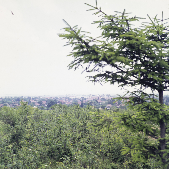 minerva_dn_1973_664_aspecte_covasna002