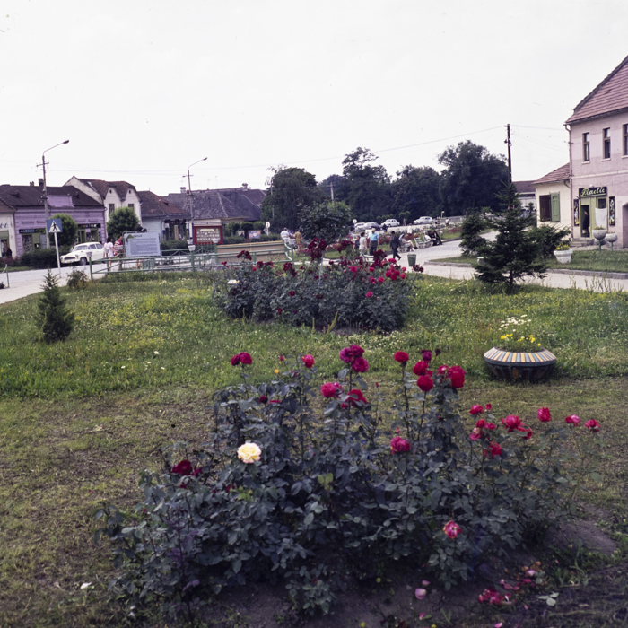 minerva_dn_1973_664_aspecte_covasna003