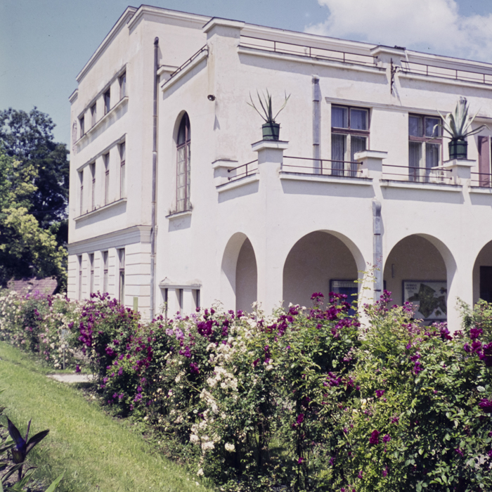 minerva_dn_1973_665_flori_fructe_visine_007