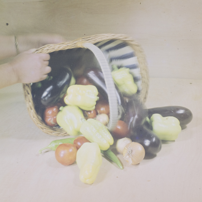 minerva_dn_1973_666_zarzaturi_flori_011