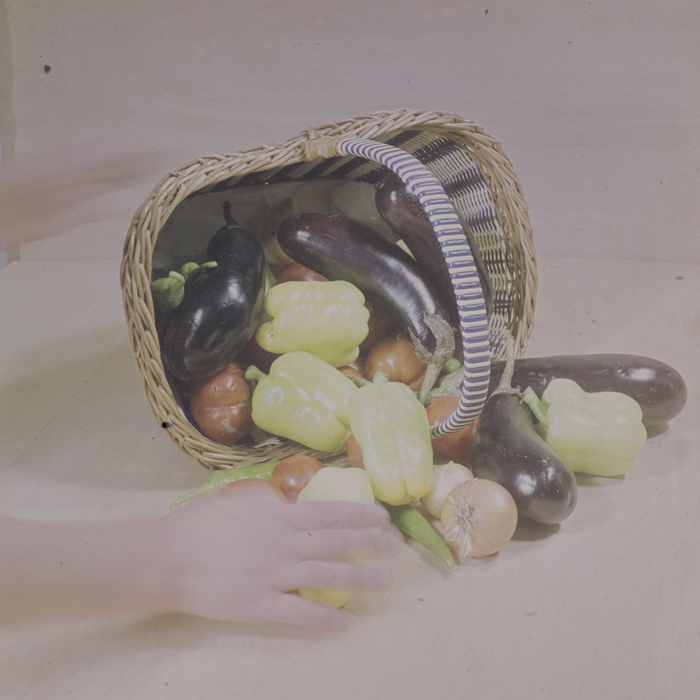 minerva_dn_1973_666_zarzaturi_flori_015