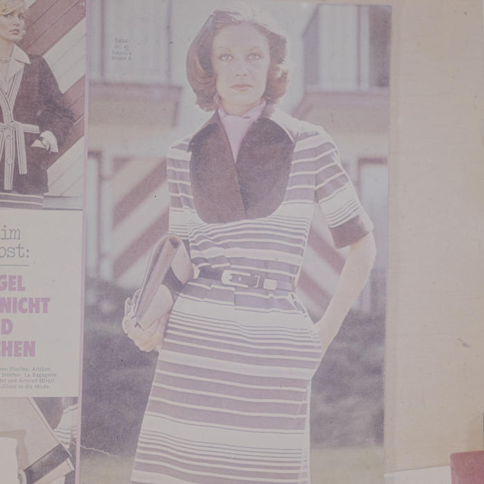 minerva_dn_1973_672_reproduceri_007