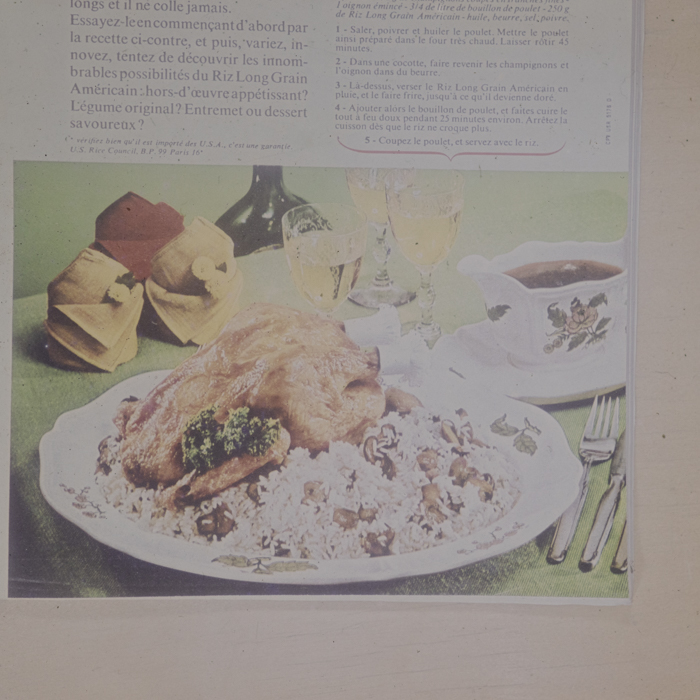 minerva_dn_1973_672_reproduceri_013