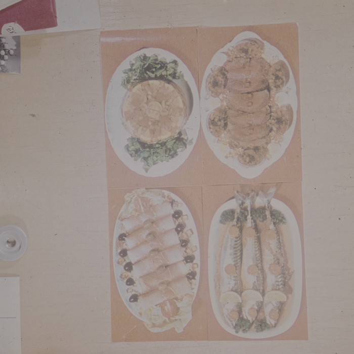 minerva_dn_1973_672_reproduceri_014