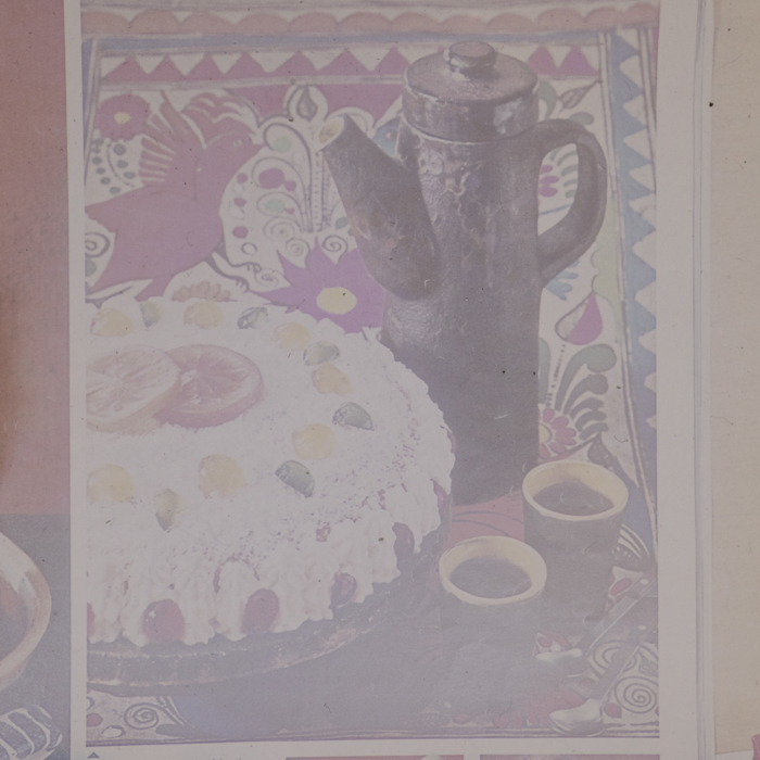 minerva_dn_1973_672_reproduceri_018