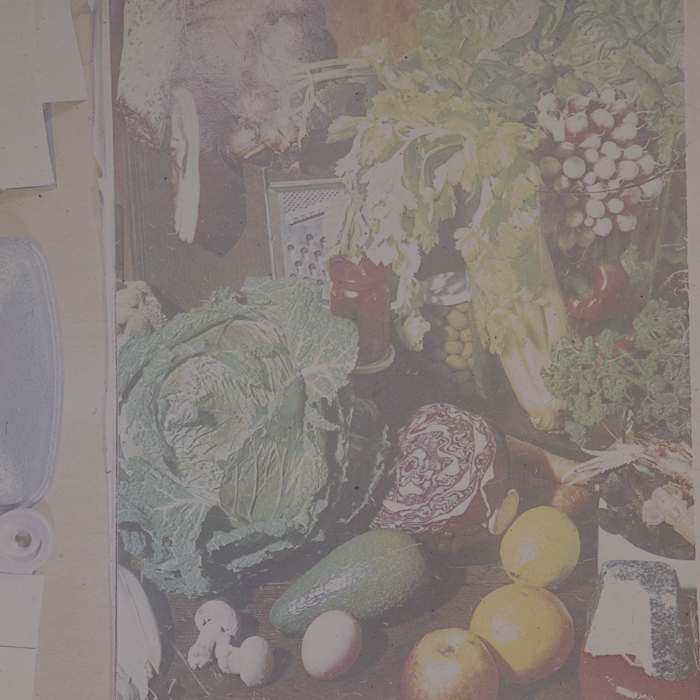 minerva_dn_1973_672_reproduceri_024