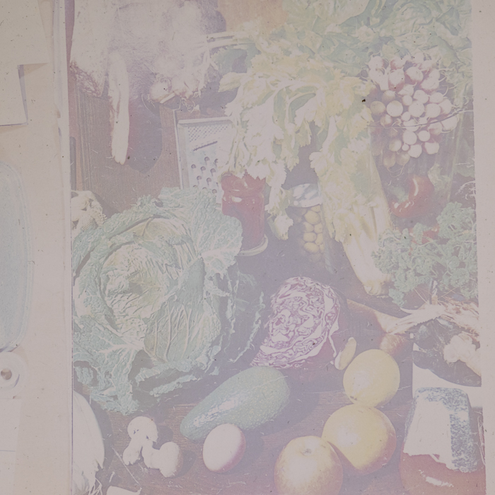 minerva_dn_1973_672_reproduceri_029