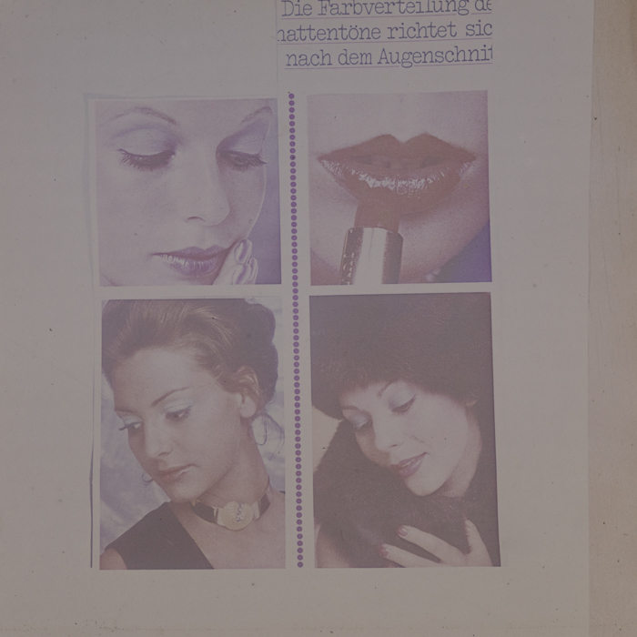 minerva_dn_1973_672_reproduceri_035