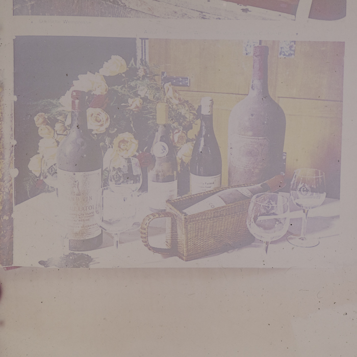 minerva_dn_1973_672_reproduceri_037