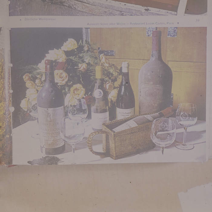 minerva_dn_1973_672_reproduceri_038