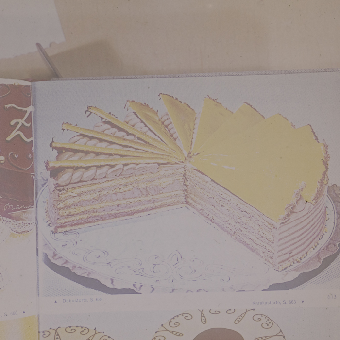 minerva_dn_1973_672_reproduceri_039