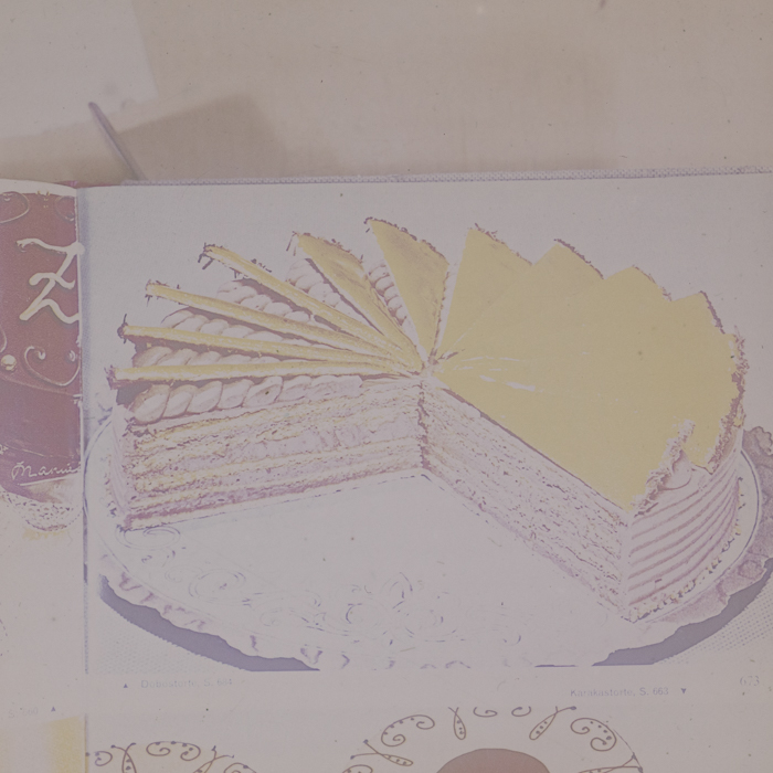 minerva_dn_1973_672_reproduceri_040