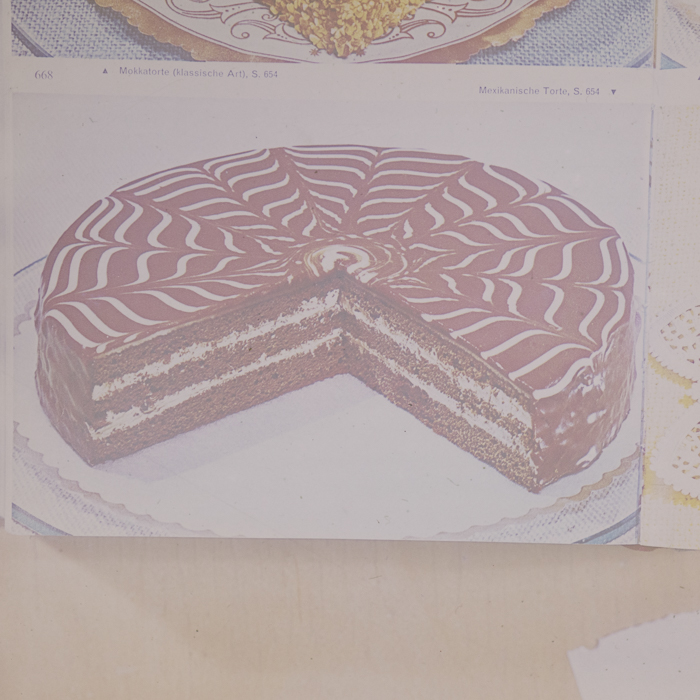 minerva_dn_1973_672_reproduceri_043