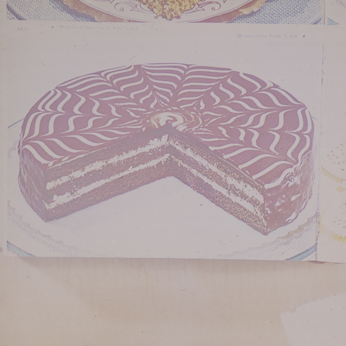 minerva_dn_1973_672_reproduceri_044