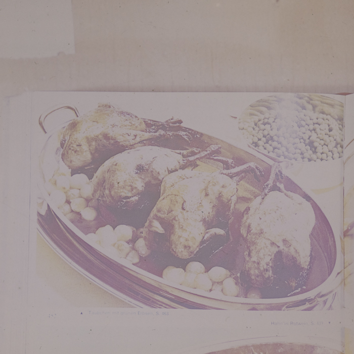 minerva_dn_1973_672_reproduceri_045