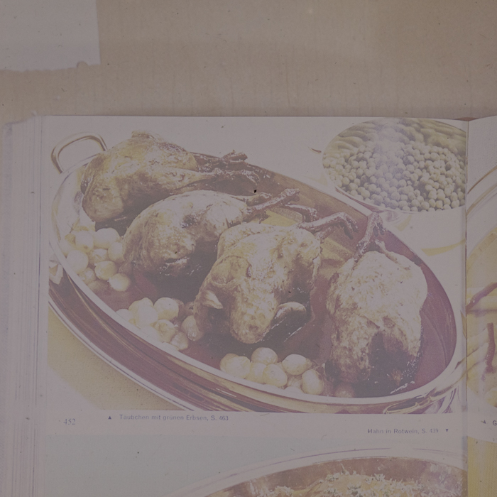 minerva_dn_1973_672_reproduceri_046