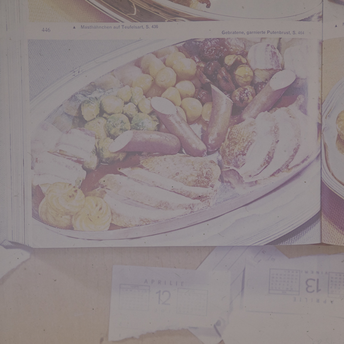 minerva_dn_1973_672_reproduceri_056