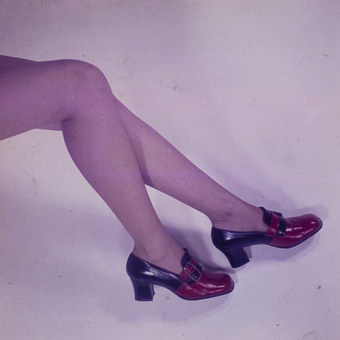 minerva_dn_1973_672_reproduceri_066