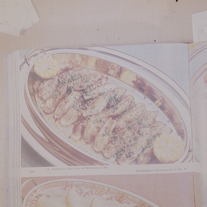 minerva_dn_1973_672_reproduceri_075