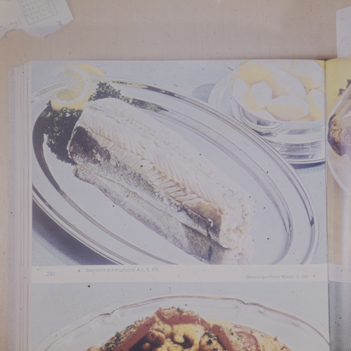 minerva_dn_1973_672_reproduceri_077