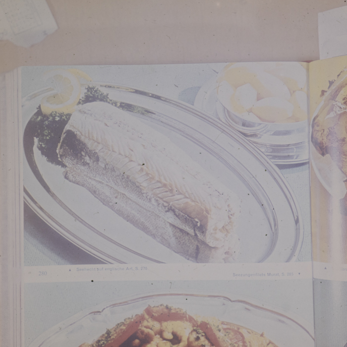 minerva_dn_1973_672_reproduceri_078