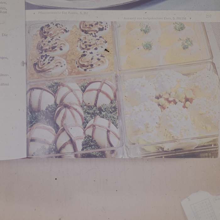 minerva_dn_1973_672_reproduceri_080