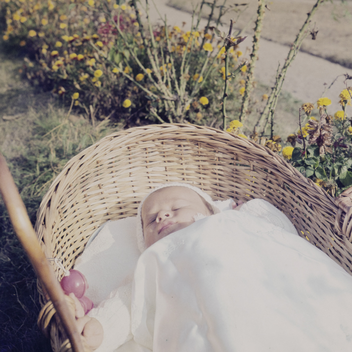 minerva_dn_1973_673_copil_cos_parc_ionica_001