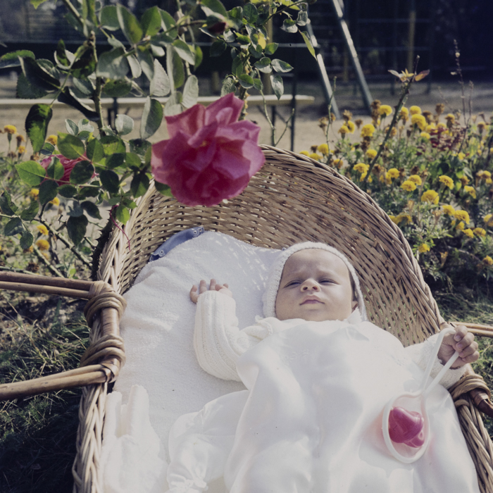 minerva_dn_1973_673_copil_cos_parc_ionica_003