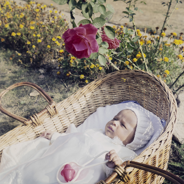 minerva_dn_1973_673_copil_cos_parc_ionica_004