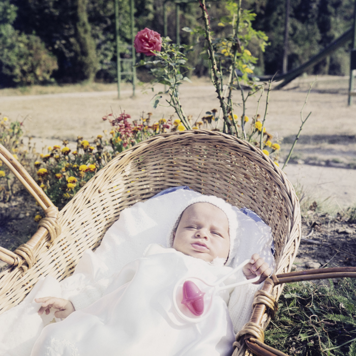 minerva_dn_1973_673_copil_cos_parc_ionica_005